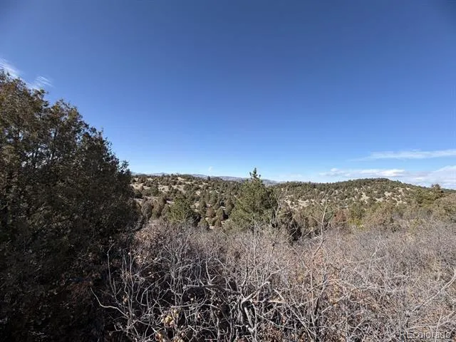 3412 Indian Wells Road Cotopaxi, CO 81223
