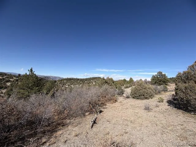 3412 Indian Wells Road Cotopaxi, CO 81223
