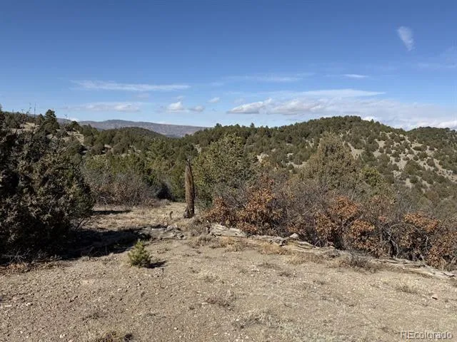 3412 Indian Wells Road Cotopaxi, CO 81223