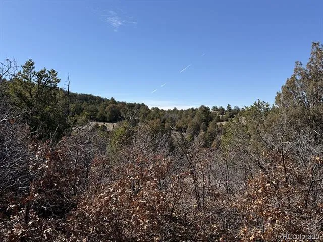 3412 Indian Wells Road Cotopaxi, CO 81223