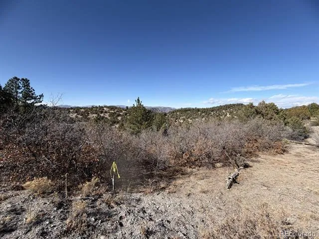 3412 Indian Wells Road Cotopaxi, CO 81223
