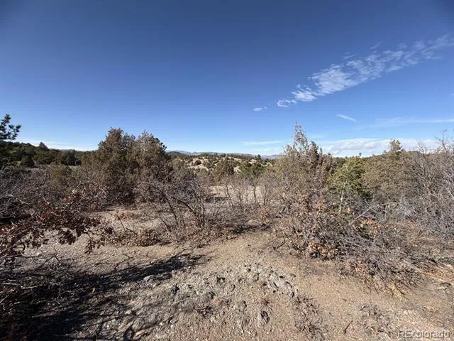3412 Indian Wells Road Cotopaxi, CO 81223
