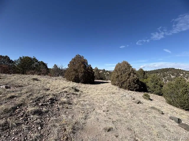 3412 Indian Wells Road Cotopaxi, CO 81223