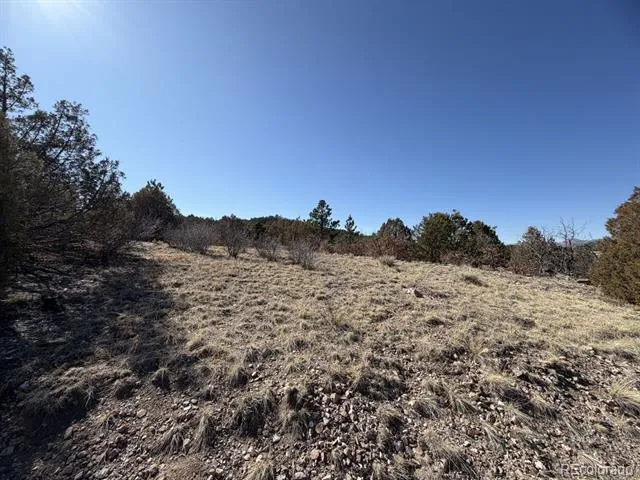 3412 Indian Wells Road Cotopaxi, CO 81223