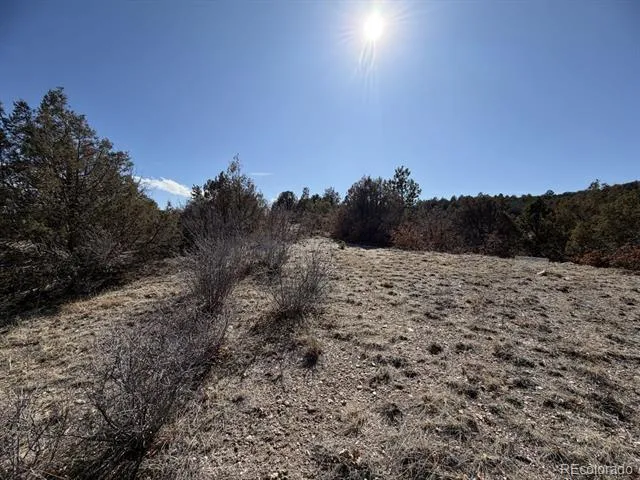 3412 Indian Wells Road Cotopaxi, CO 81223