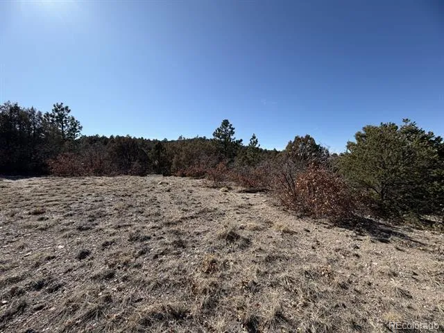 3412 Indian Wells Road Cotopaxi, CO 81223
