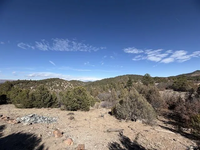 3412 Indian Wells Road Cotopaxi, CO 81223