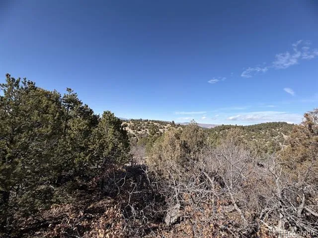3412 Indian Wells Road Cotopaxi, CO 81223