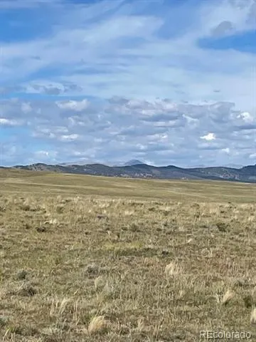 1789 Wahosta Trail Guffey, CO 80820
