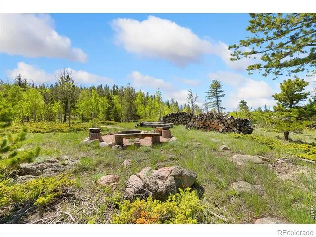5449 County Road 73C Red Feather Lakes, CO 80545