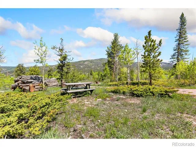 5449 County Road 73C Red Feather Lakes, CO 80545