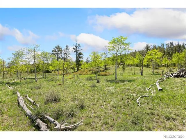5449 County Road 73C Red Feather Lakes, CO 80545