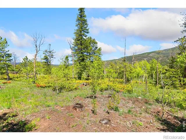 5449 County Road 73C Red Feather Lakes, CO 80545