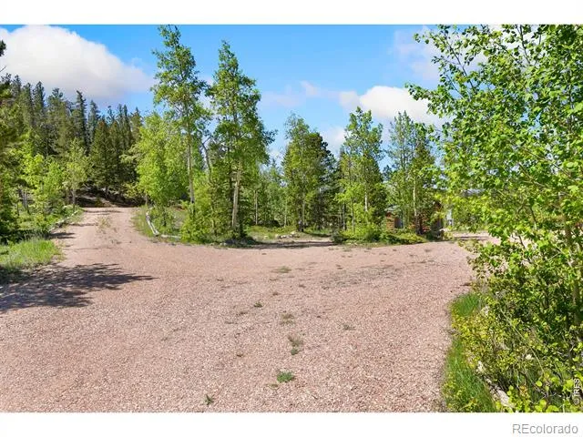 5449 County Road 73C Red Feather Lakes, CO 80545