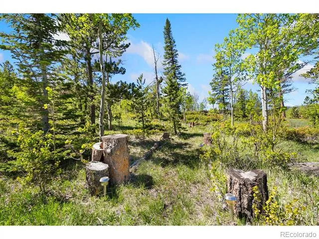 5449 County Road 73C Red Feather Lakes, CO 80545