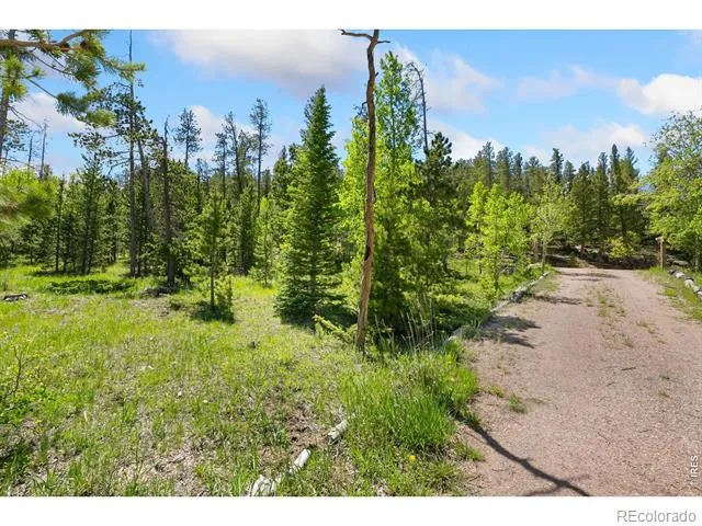 5449 County Road 73C Red Feather Lakes, CO 80545