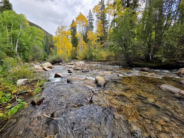 16101 Rob Roy MS MC Nathrop, CO 81236
