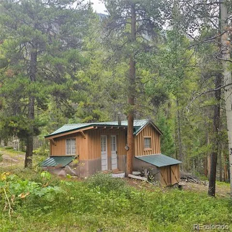 16101 Rob Roy MS MC Nathrop, CO 81236