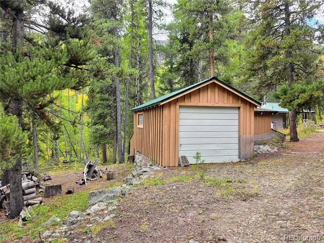 16101 Rob Roy MS MC Nathrop, CO 81236
