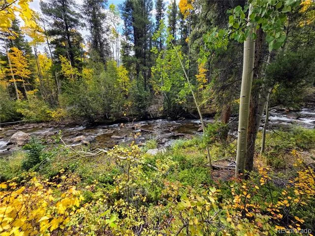 16101 Rob Roy MS MC Nathrop, CO 81236