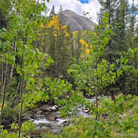 16101 Rob Roy MS MC Nathrop, CO 81236