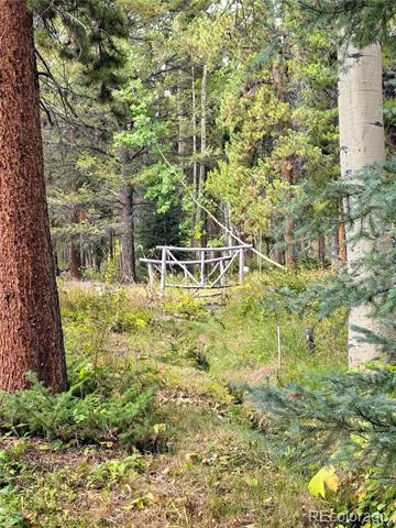16101 Rob Roy MS MC Nathrop, CO 81236