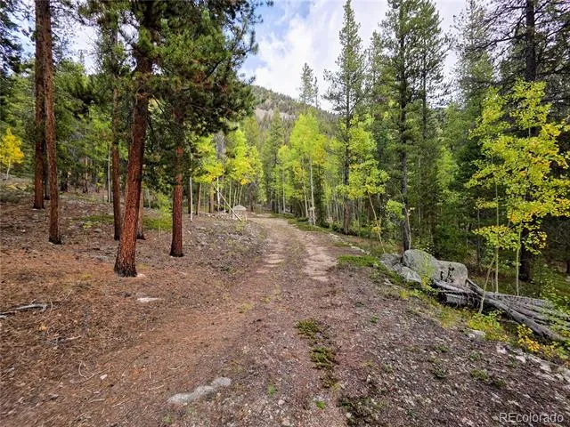 16101 Rob Roy MS MC Nathrop, CO 81236