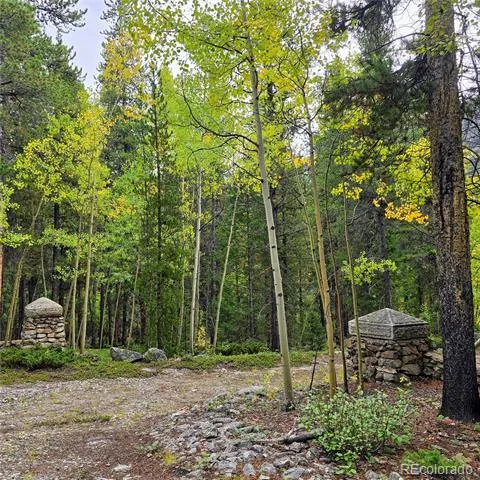 16101 Rob Roy MS MC Nathrop, CO 81236