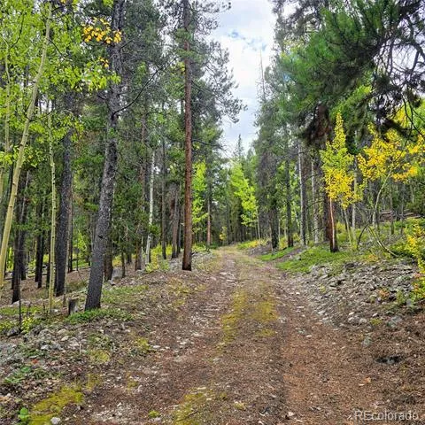 16101 Rob Roy MS MC Nathrop, CO 81236
