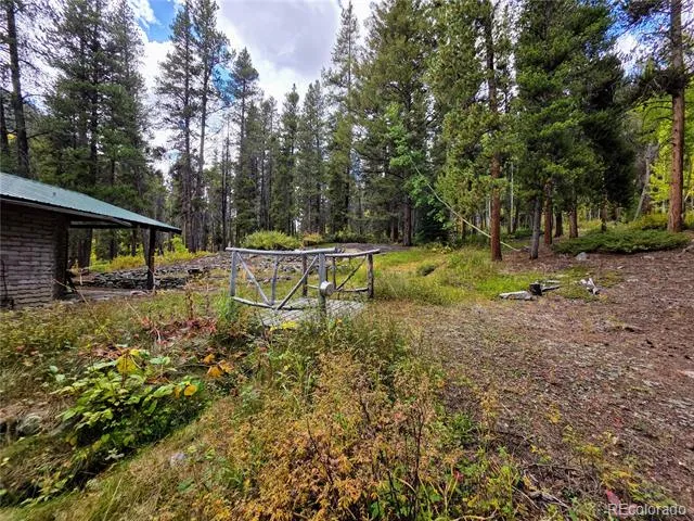 16101 Rob Roy MS MC Nathrop, CO 81236