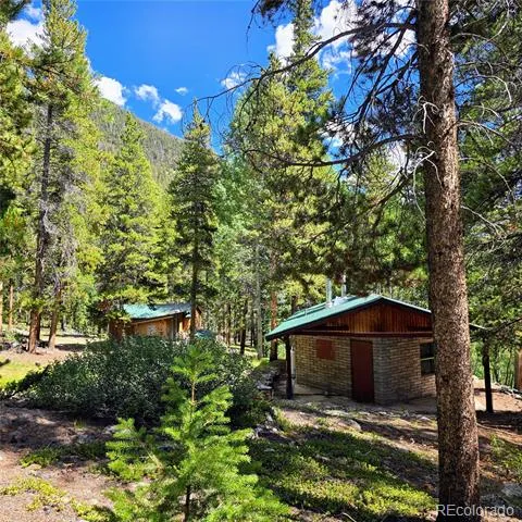 16101 Rob Roy MS MC Nathrop, CO 81236