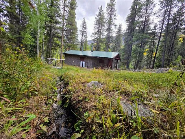 16101 Rob Roy MS MC Nathrop, CO 81236