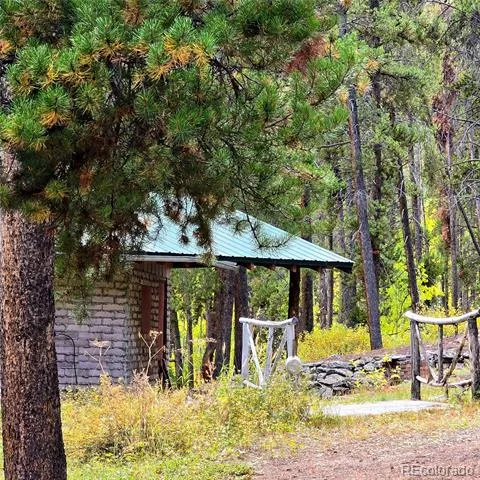 16101 Rob Roy MS MC Nathrop, CO 81236