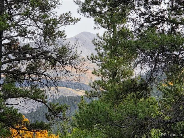 16101 Rob Roy MS MC Nathrop, CO 81236