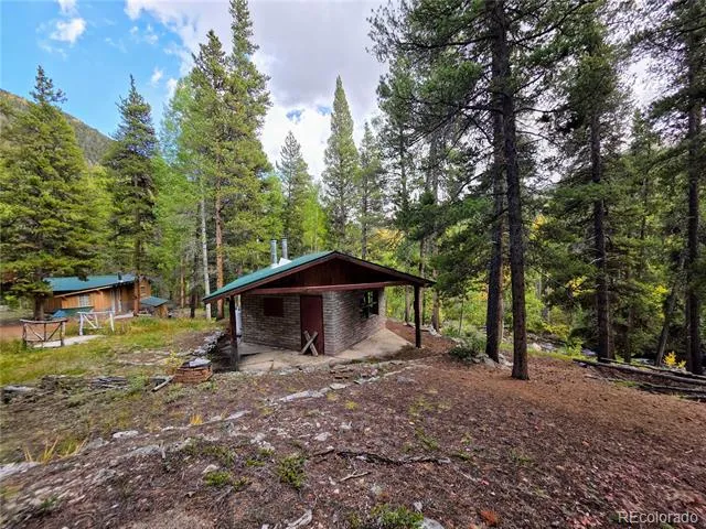 16101 Rob Roy MS MC Nathrop, CO 81236