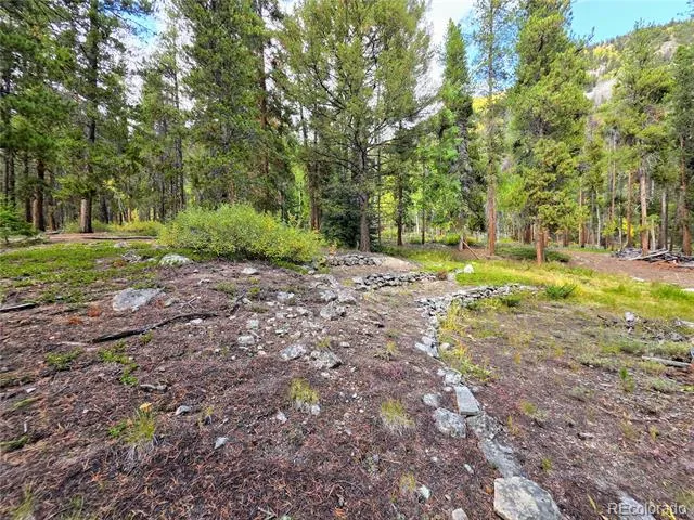 16101 Rob Roy MS MC Nathrop, CO 81236