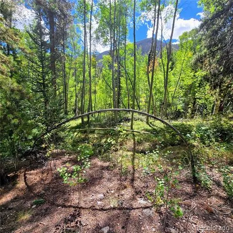 16101 Rob Roy MS MC Nathrop, CO 81236