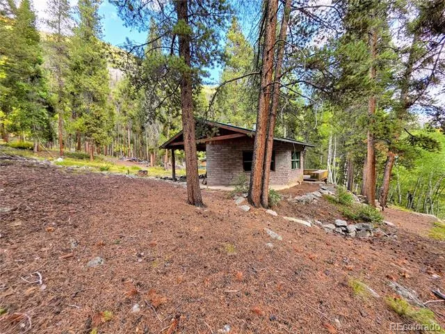 16101 Rob Roy MS MC Nathrop, CO 81236