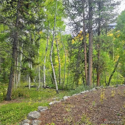 16101 Rob Roy MS MC Nathrop, CO 81236