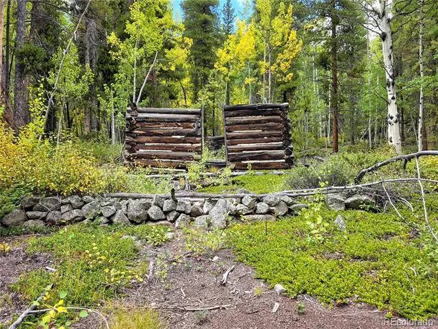 16101 Rob Roy MS MC Nathrop, CO 81236
