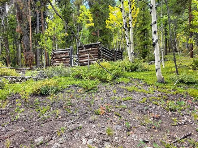 16101 Rob Roy MS MC Nathrop, CO 81236