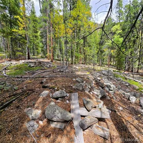 16101 Rob Roy MS MC Nathrop, CO 81236