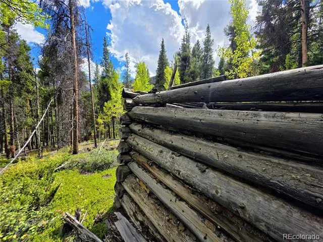 16101 Rob Roy MS MC Nathrop, CO 81236
