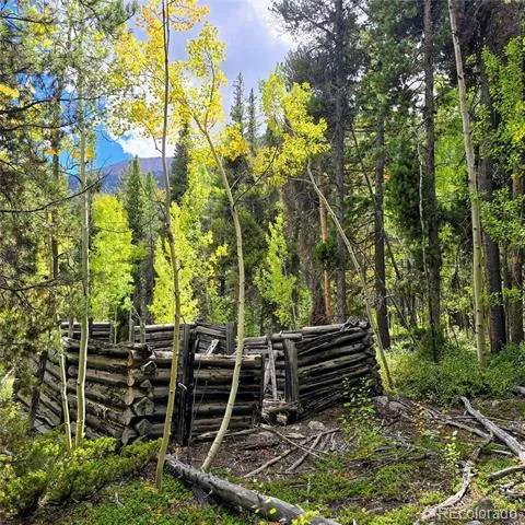16101 Rob Roy MS MC Nathrop, CO 81236