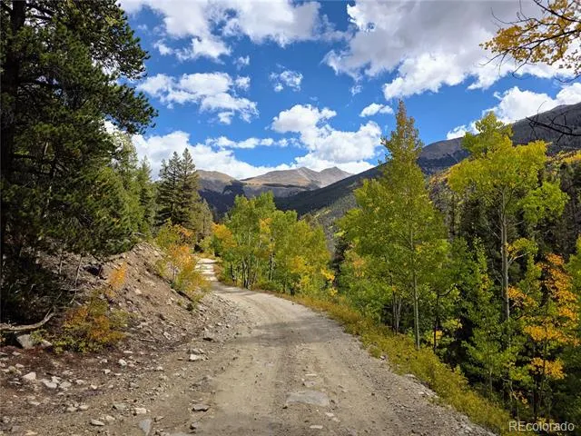 16101 Rob Roy MS MC Nathrop, CO 81236