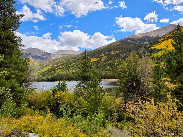 16101 Rob Roy MS MC Nathrop, CO 81236
