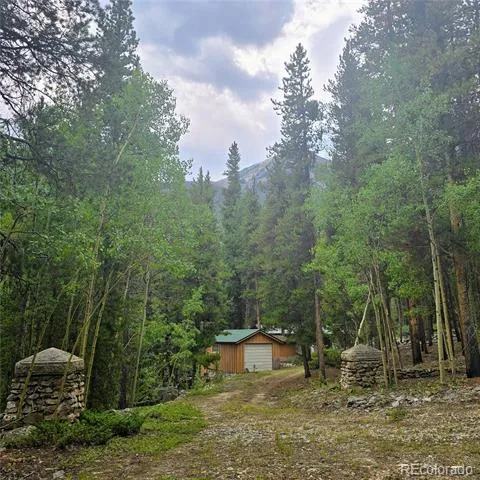 16101 Rob Roy MS MC Nathrop, CO 81236