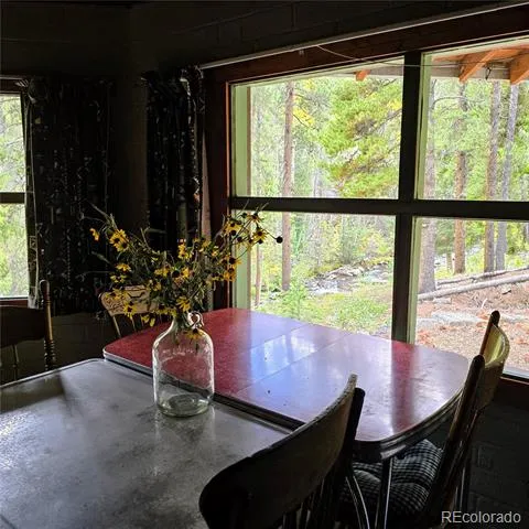 16101 Rob Roy MS MC Nathrop, CO 81236