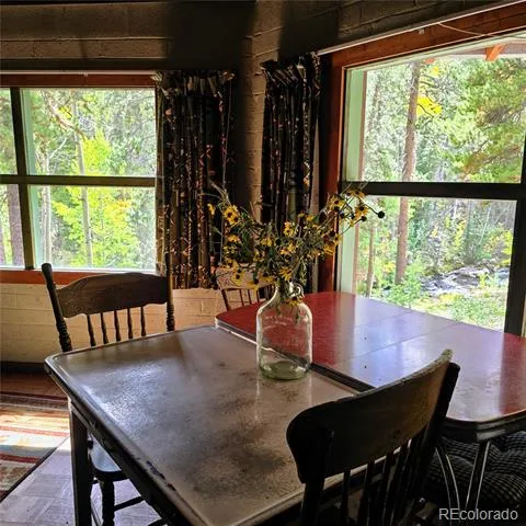 16101 Rob Roy MS MC Nathrop, CO 81236