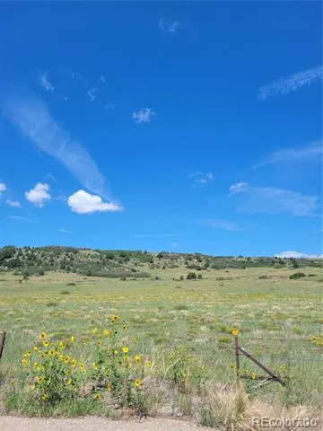 parrot Drive Alamosa, CO 81101